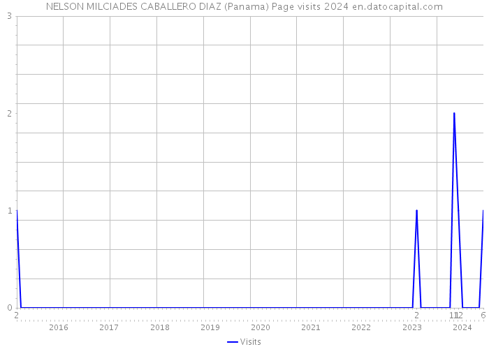 NELSON MILCIADES CABALLERO DIAZ (Panama) Page visits 2024 