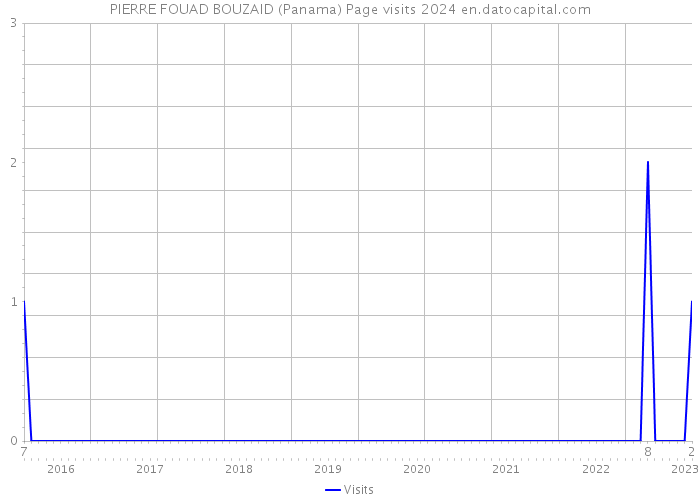 PIERRE FOUAD BOUZAID (Panama) Page visits 2024 