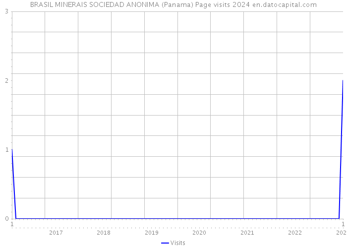 BRASIL MINERAIS SOCIEDAD ANONIMA (Panama) Page visits 2024 