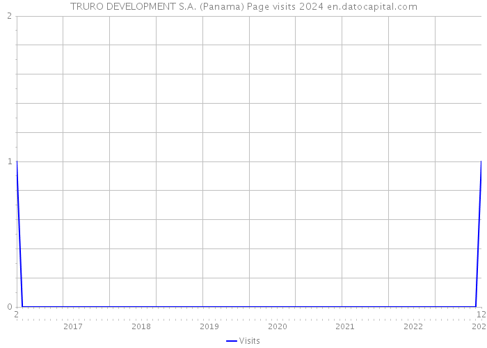 TRURO DEVELOPMENT S.A. (Panama) Page visits 2024 