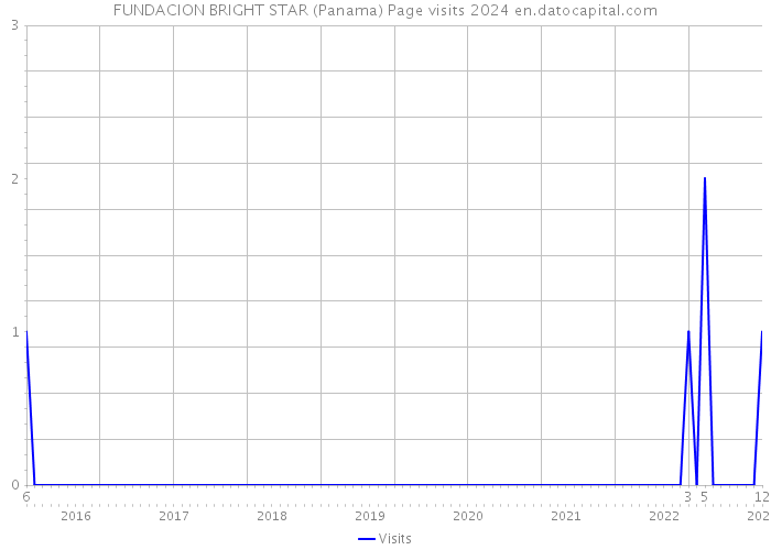 FUNDACION BRIGHT STAR (Panama) Page visits 2024 