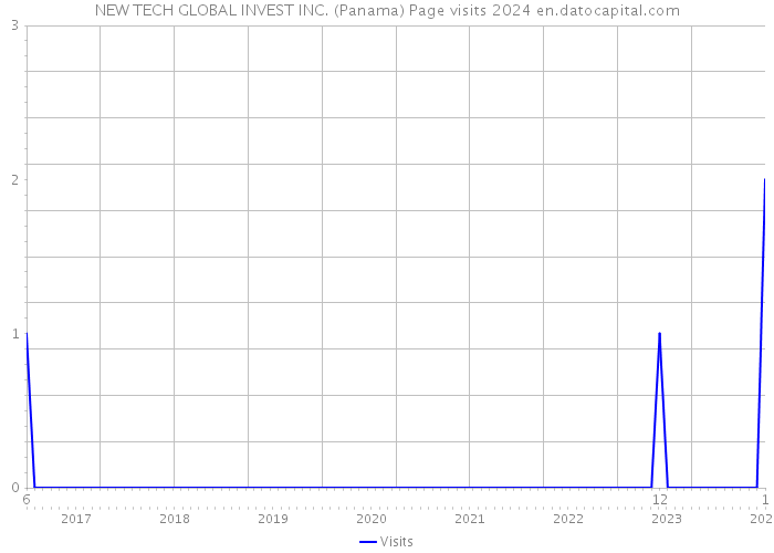 NEW TECH GLOBAL INVEST INC. (Panama) Page visits 2024 