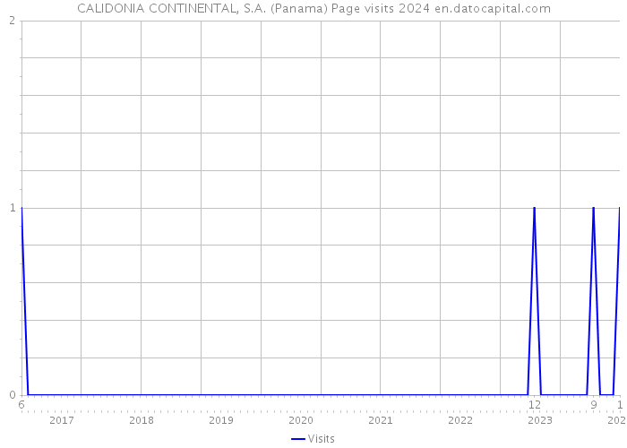CALIDONIA CONTINENTAL, S.A. (Panama) Page visits 2024 