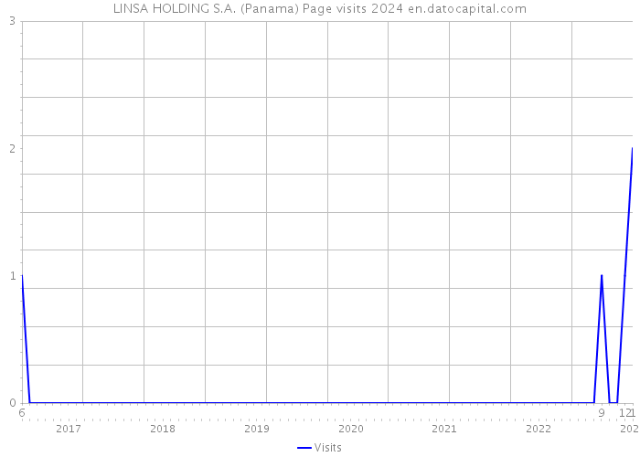 LINSA HOLDING S.A. (Panama) Page visits 2024 