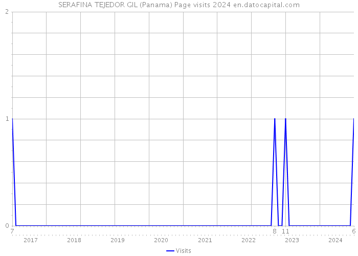 SERAFINA TEJEDOR GIL (Panama) Page visits 2024 