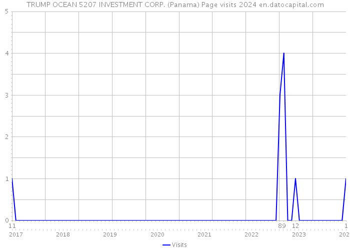 TRUMP OCEAN 5207 INVESTMENT CORP. (Panama) Page visits 2024 