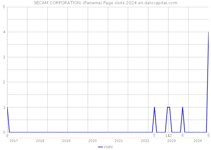 SECAM CORPORATION. (Panama) Page visits 2024 