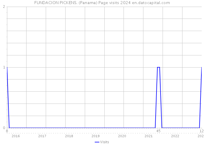 FUNDACION PICKENS. (Panama) Page visits 2024 