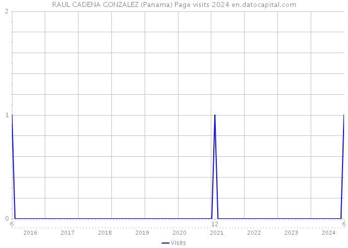 RAUL CADENA GONZALEZ (Panama) Page visits 2024 