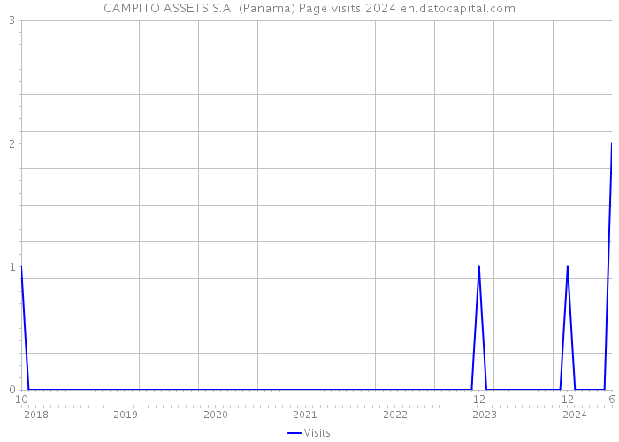 CAMPITO ASSETS S.A. (Panama) Page visits 2024 