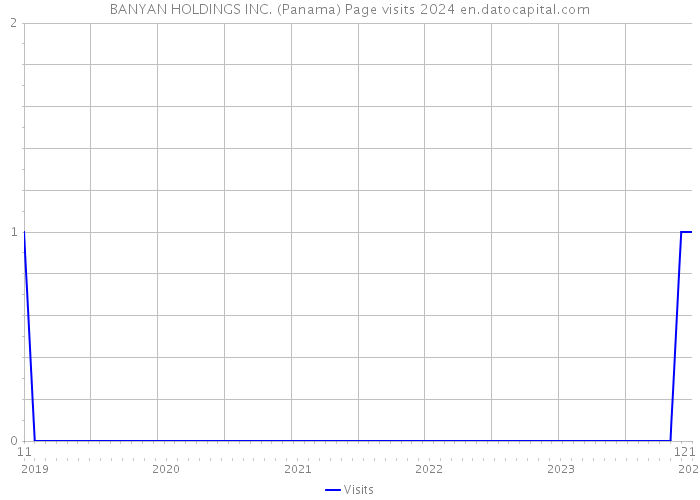 BANYAN HOLDINGS INC. (Panama) Page visits 2024 