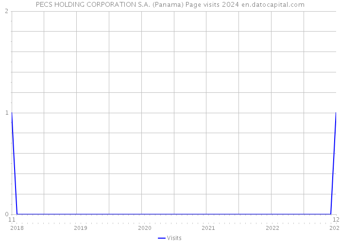 PECS HOLDING CORPORATION S.A. (Panama) Page visits 2024 