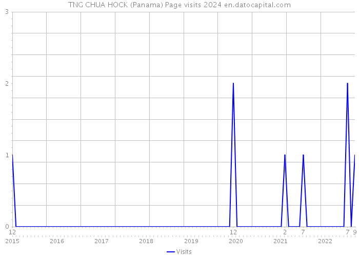 TNG CHUA HOCK (Panama) Page visits 2024 