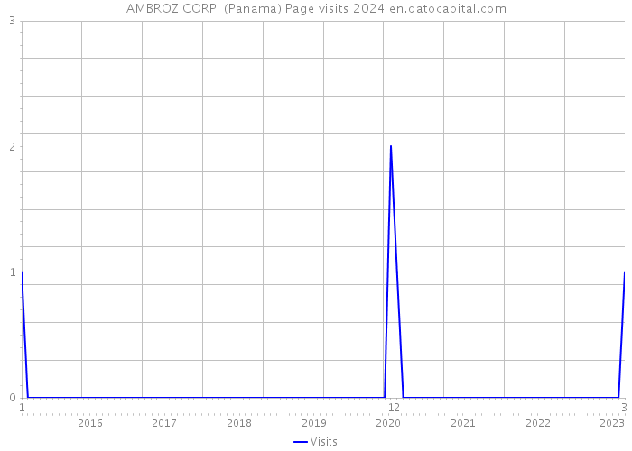 AMBROZ CORP. (Panama) Page visits 2024 