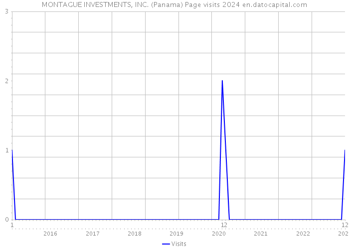 MONTAGUE INVESTMENTS, INC. (Panama) Page visits 2024 