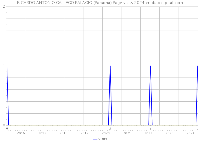 RICARDO ANTONIO GALLEGO PALACIO (Panama) Page visits 2024 