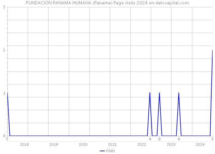FUNDACION PANAMA HUMANA (Panama) Page visits 2024 