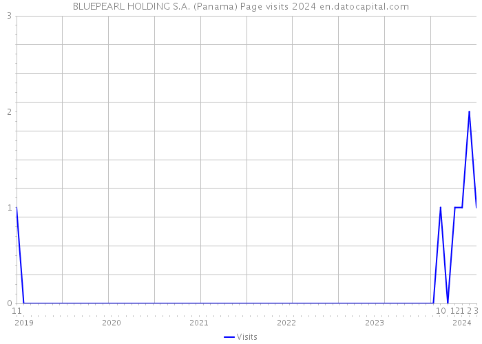 BLUEPEARL HOLDING S.A. (Panama) Page visits 2024 