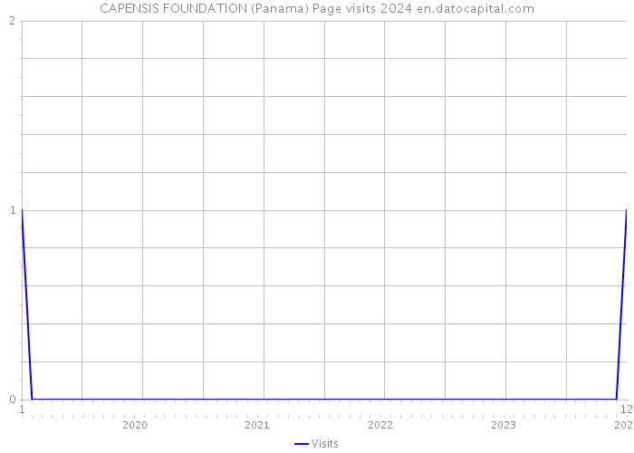 CAPENSIS FOUNDATION (Panama) Page visits 2024 