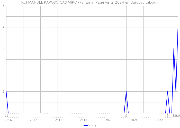 RUI MANUEL RAPOSO CASIMIRO (Panama) Page visits 2024 