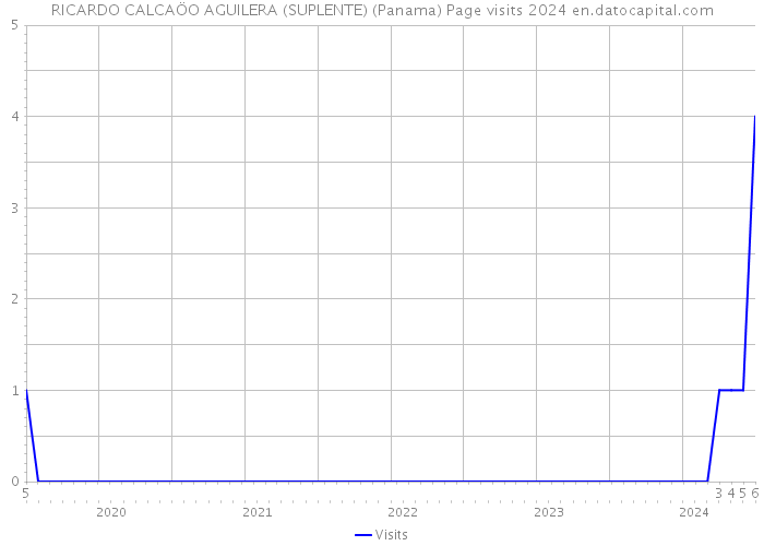 RICARDO CALCAÖO AGUILERA (SUPLENTE) (Panama) Page visits 2024 