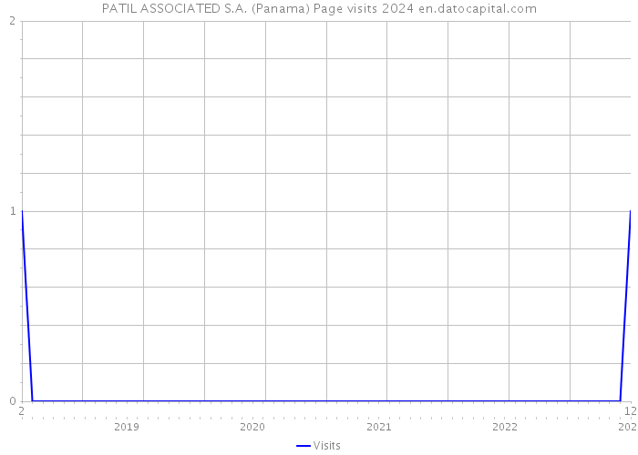 PATIL ASSOCIATED S.A. (Panama) Page visits 2024 