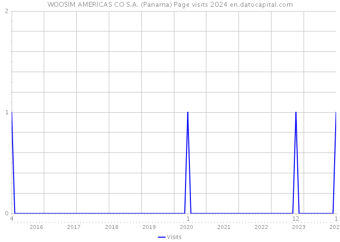 WOOSIM AMERICAS CO S.A. (Panama) Page visits 2024 