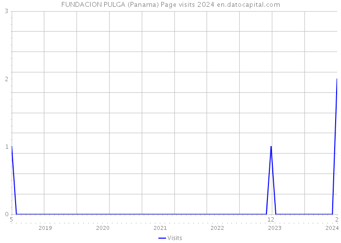 FUNDACION PULGA (Panama) Page visits 2024 
