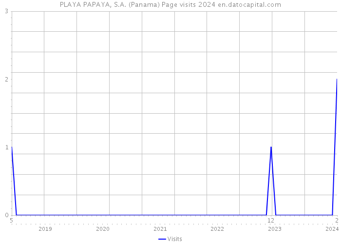 PLAYA PAPAYA, S.A. (Panama) Page visits 2024 