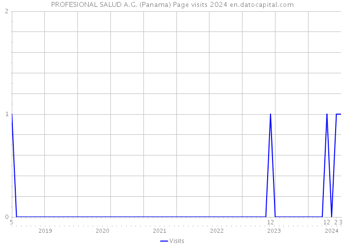 PROFESIONAL SALUD A.G. (Panama) Page visits 2024 