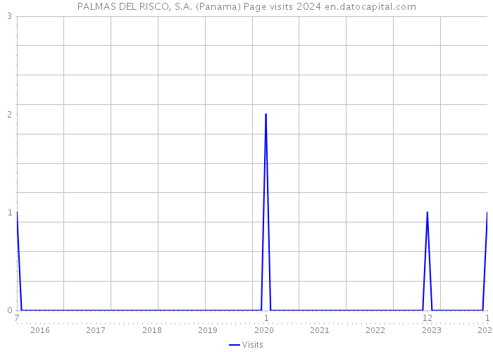 PALMAS DEL RISCO, S.A. (Panama) Page visits 2024 