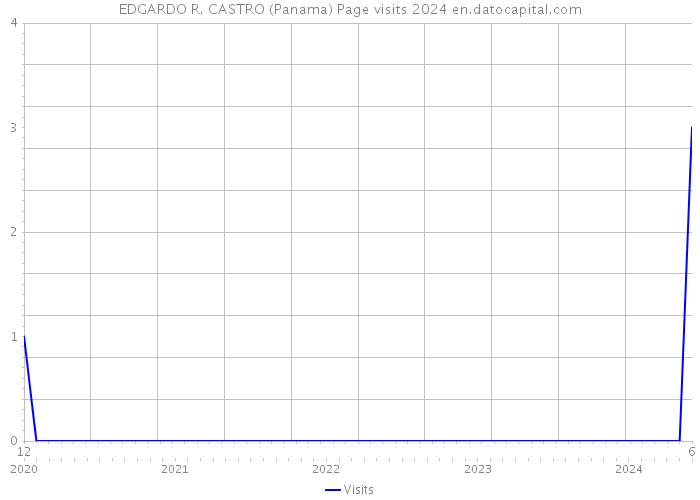 EDGARDO R. CASTRO (Panama) Page visits 2024 