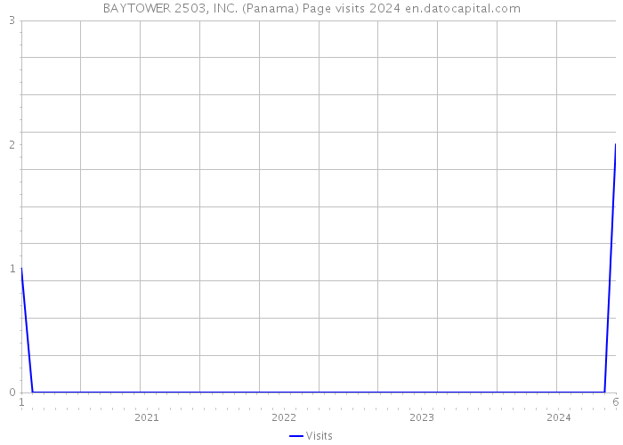 BAYTOWER 2503, INC. (Panama) Page visits 2024 