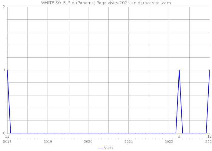 WHITE 50-B, S.A (Panama) Page visits 2024 