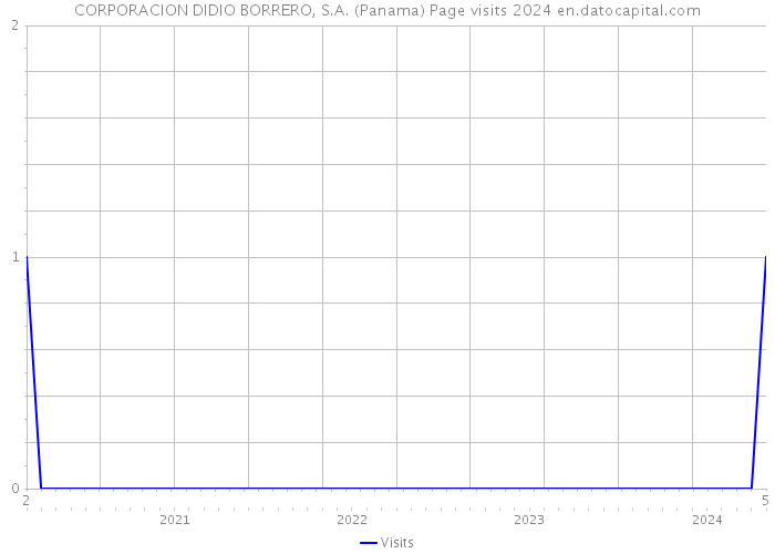 CORPORACION DIDIO BORRERO, S.A. (Panama) Page visits 2024 