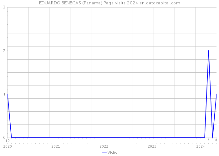 EDUARDO BENEGAS (Panama) Page visits 2024 