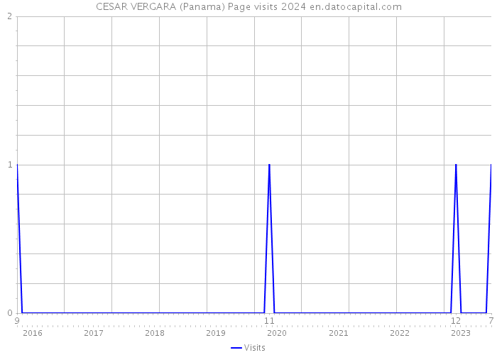 CESAR VERGARA (Panama) Page visits 2024 