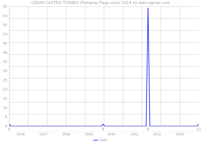 CESAR CASTRO TORIBIO (Panama) Page visits 2024 