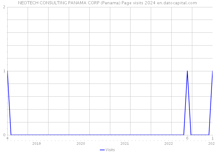 NEOTECH CONSULTING PANAMA CORP (Panama) Page visits 2024 