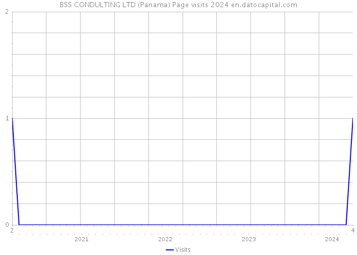 BSS CONDULTING LTD (Panama) Page visits 2024 