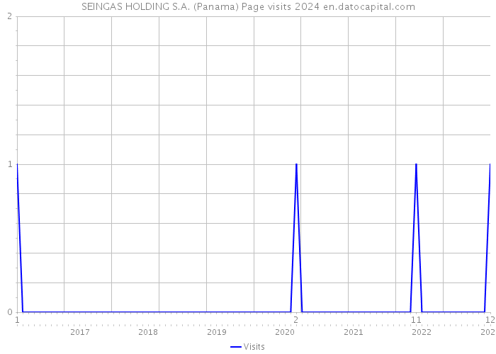 SEINGAS HOLDING S.A. (Panama) Page visits 2024 