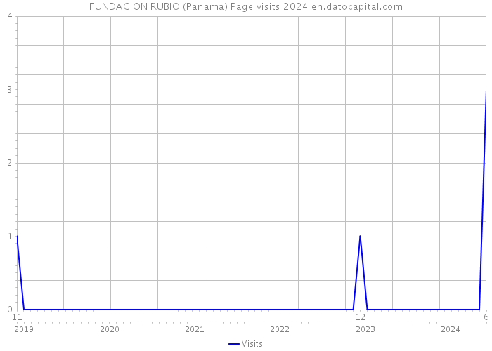 FUNDACION RUBIO (Panama) Page visits 2024 