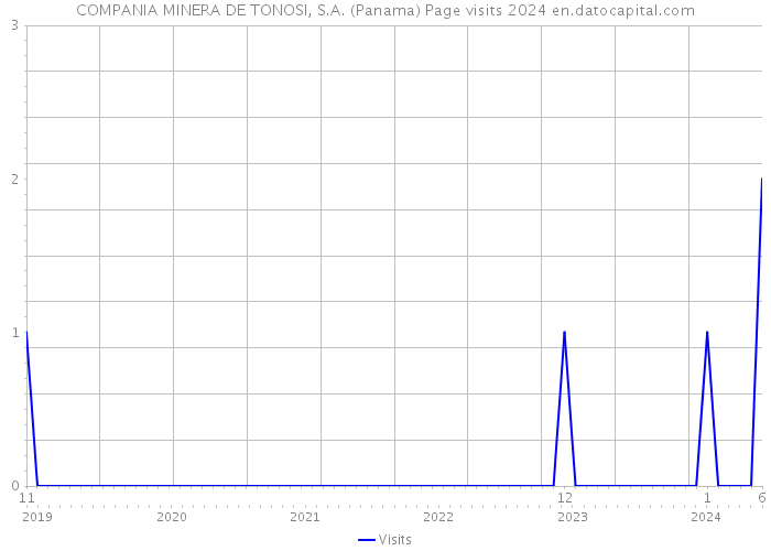 COMPANIA MINERA DE TONOSI, S.A. (Panama) Page visits 2024 