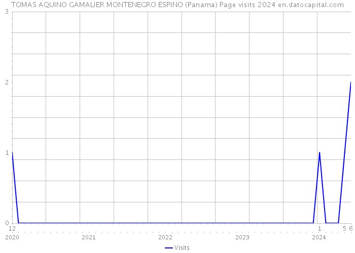 TOMAS AQUINO GAMALIER MONTENEGRO ESPINO (Panama) Page visits 2024 