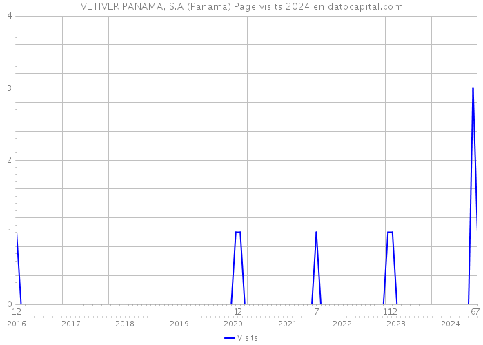 VETIVER PANAMA, S.A (Panama) Page visits 2024 