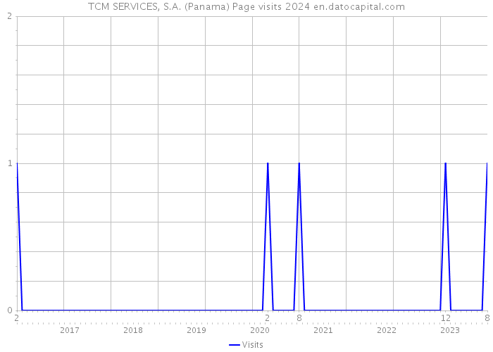 TCM SERVICES, S.A. (Panama) Page visits 2024 