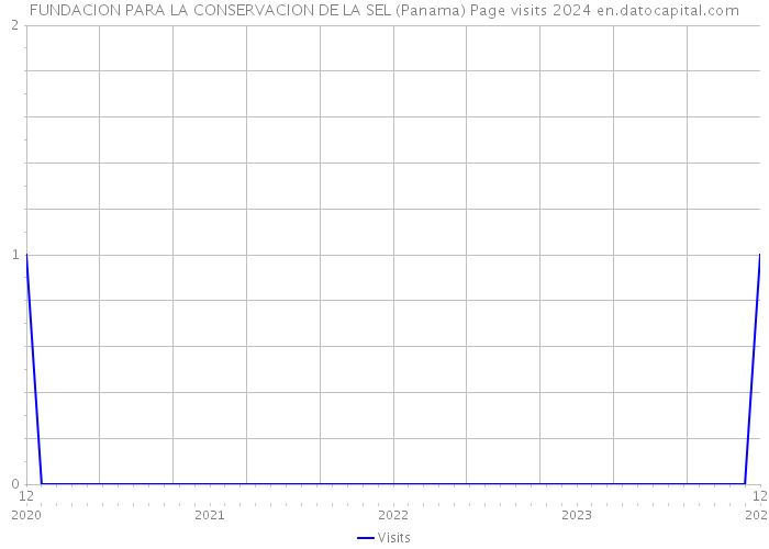 FUNDACION PARA LA CONSERVACION DE LA SEL (Panama) Page visits 2024 