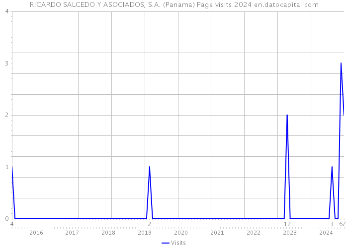 RICARDO SALCEDO Y ASOCIADOS, S.A. (Panama) Page visits 2024 