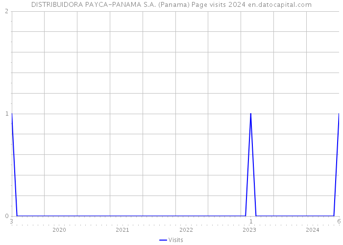 DISTRIBUIDORA PAYCA-PANAMA S.A. (Panama) Page visits 2024 