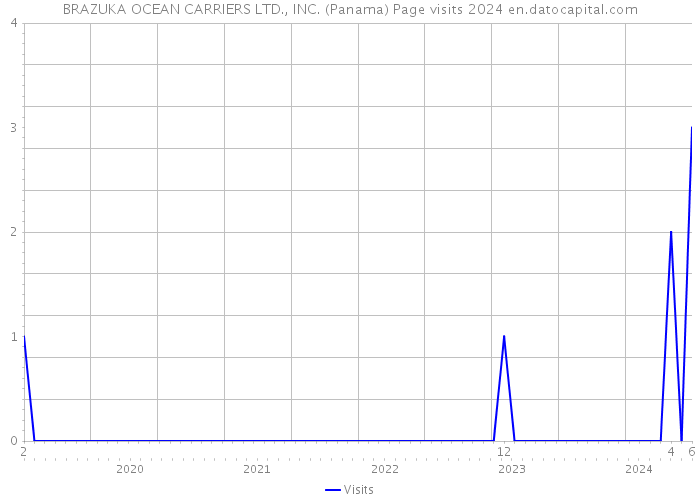 BRAZUKA OCEAN CARRIERS LTD., INC. (Panama) Page visits 2024 